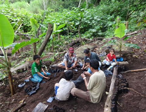 Agricultura Orgánica