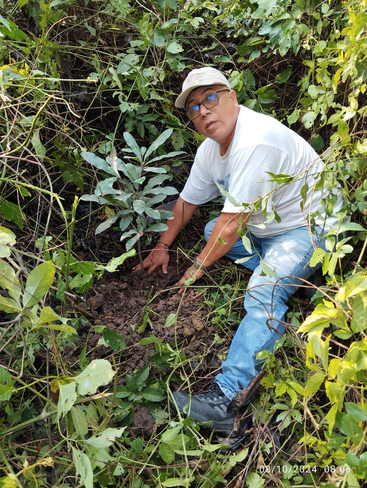 Restauración Ecosistémica