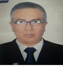 Luis Fernando Flores García 